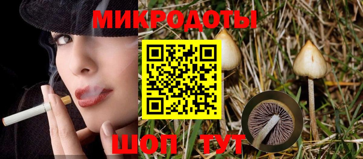Вольск  Псилоцибиновые грибы Psilocybe  Вход с VPN 